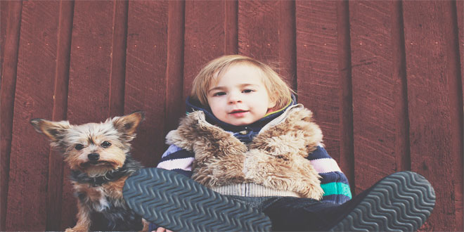 ¿Por qué son capaces de volver a casa los perros aunque se pierdan?