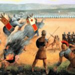 cerdos en llamas