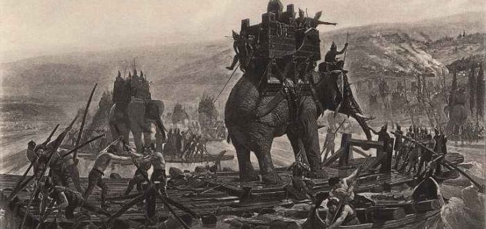 elefantes de guerra