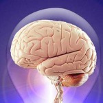 cerebro