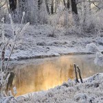 Máquinas para controlar el tiempo: ¿Qué prefieres, invierno o verano?