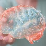 ¿Qué porcentaje del cerebro usamos_
