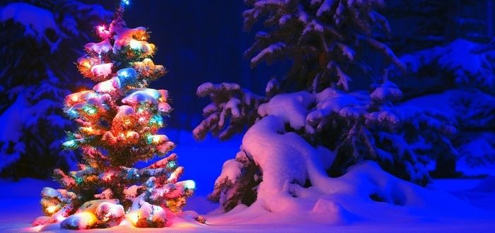 Hacer la cena Gracias por tu ayuda estornudar Por qué se ponen luces en Navidad? | El primer árbol con luces eléctricas