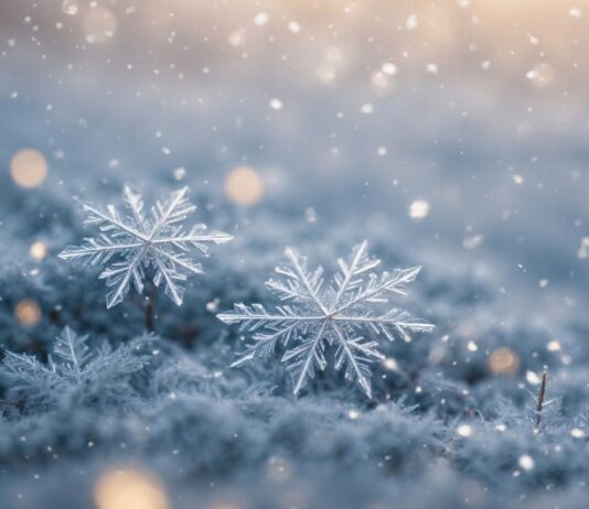 Qué es un copo de nieve