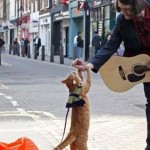 A Street cat named Bob historia