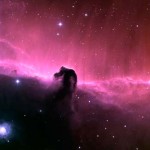Nebulosa cabeza caballo