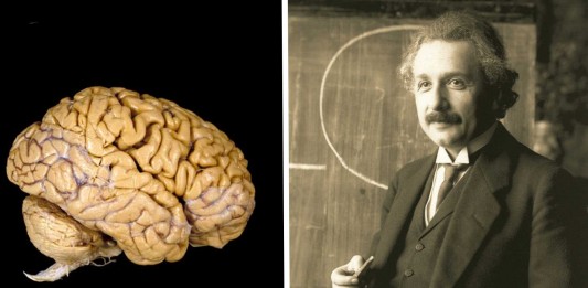 El curioso cerebro de Albert Einstein