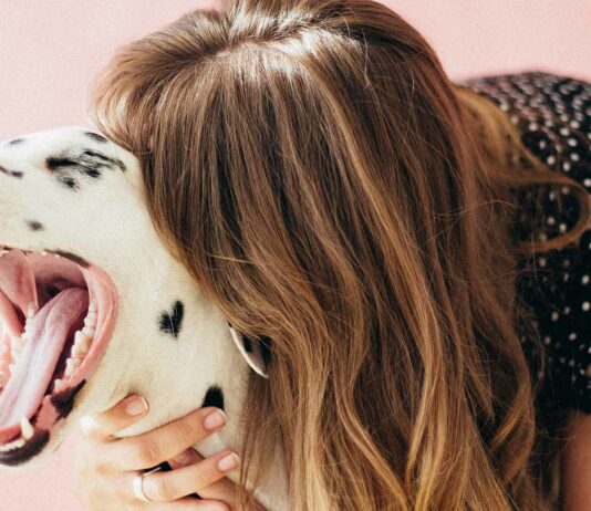 el lenguaje de los perros