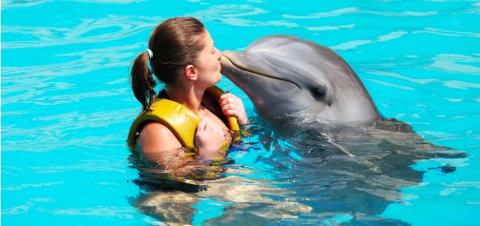 curiosidades de los delfines