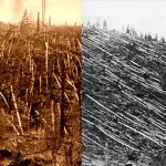 Tunguska