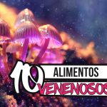 10 Alimentos venenosos muy comunes en nuestra dieta