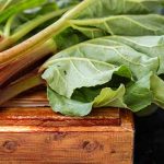 Alimentos venenosos, Ruibarbo