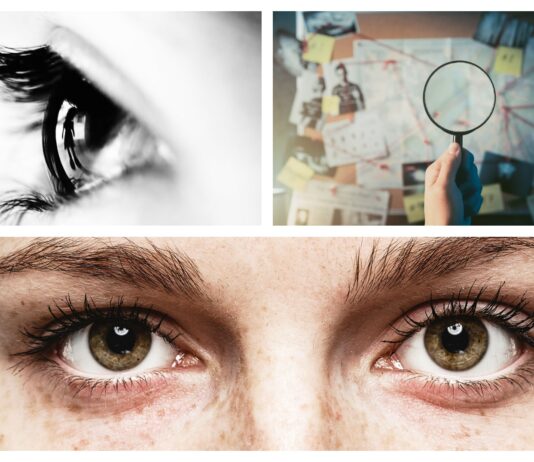 Optografía | Las imágenes que se quedan en nuestra retina