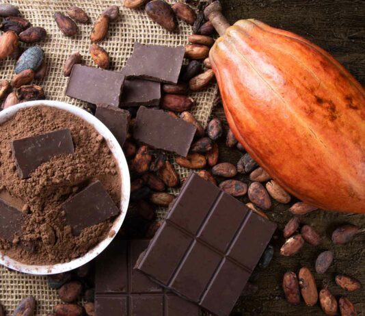 ¿El chocolate engorda? | ¡Un descubrimiento dice que no! el chocolate engorda