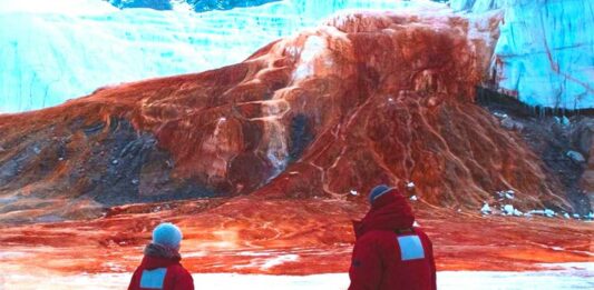 Las Cataratas de Sangre en la Antártida | Un fenómeno único glaciar taylor