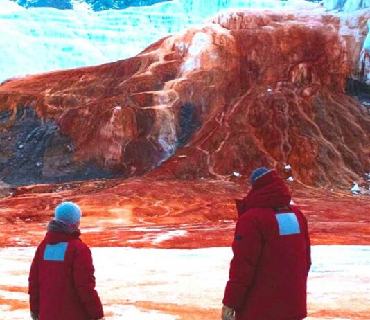 Las Cataratas de Sangre en la Antártida | Un fenómeno único glaciar taylor