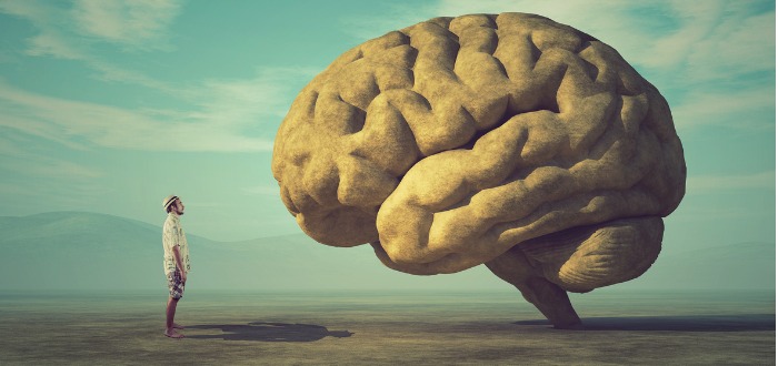 Cuánta información puede almacenar el cerebro