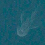 foto monstruo lago ness satelite apple