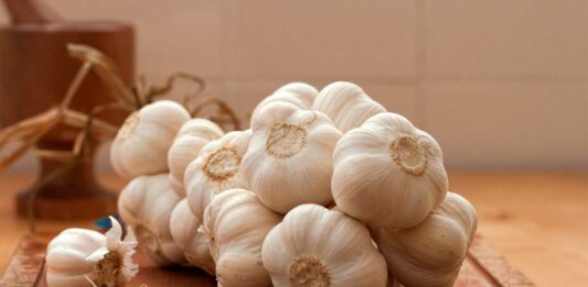 Beneficios del ajo | Un remedio milenario propiedades del ajo