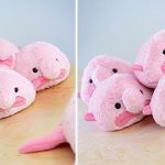 animales curiosos, animales más curiosos, pez borrón peluche