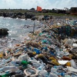 plasticos mar basura