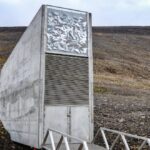 Bóveda del fin del mundo el arca de noe vegetal