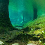 Gruner See lago