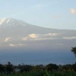 Kilimanjaro