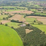 bosque forma corazon