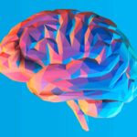 curiosidades del cerebro
