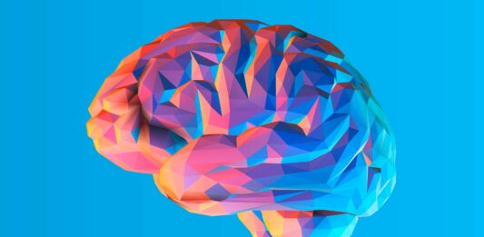 10 curiosidades del cerebro | Nuestra mejor herramienta curiosidades del cerebro