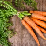 por qué las zanahorias son naranjas