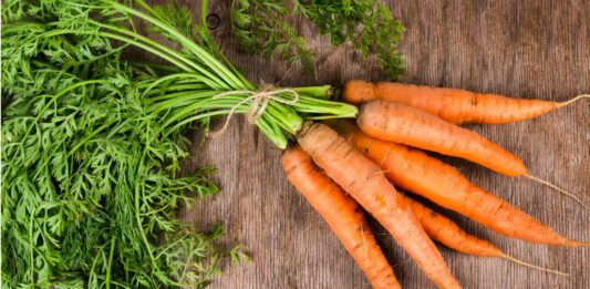 por qué las zanahorias son naranjas