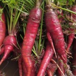 las zanahorias no son naranjas