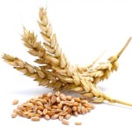 Avena integral