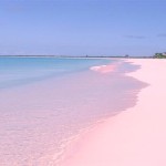 Pink Sand Beach