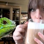 cafe reptiles supercurioso
