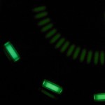 Radium Girls, las chicas radioactivas