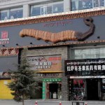 Cordyceps sinensis Negocio