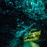 Cuevas-de-Waitomo,-Nueva-Zelanda