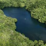 El Lago de las Medusas en Palau
