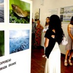 Exposición Ilha Quemaida Grande