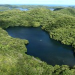 El fascinante lago de las medusas