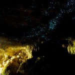Cuevas de Waitomo, Nueva Zelanda