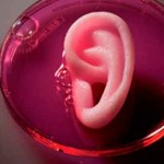 bioimpresora