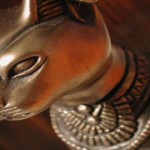 Curiosidades sobre los gatos negros