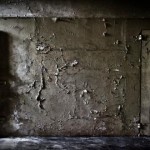 Dèjá Vu: ¿Error del cerebro o recuerdo de vidas pasadas?