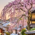 kyoto-japan-in-spring-picture-id902966276