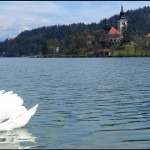 lago