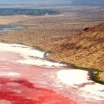 lago natron